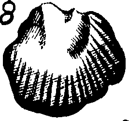110/110950080000250_0.png