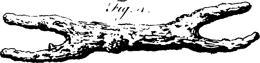 111/111030260000440_1.png
