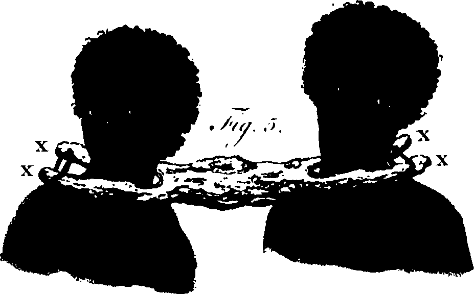 111/111030260000440_2.png