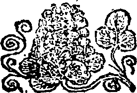 111/111090200001940_0.png