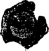 111/111200060000200_0.png
