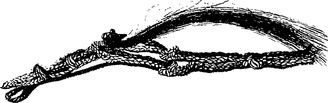 111/111200060000260_0.png