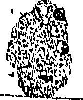 111/111200060000300_0.png