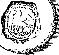 111/111200060000650_0.png