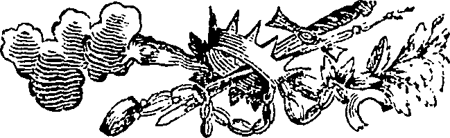 111/111240010000120_0.png