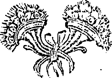 111/111240060000380_0.png