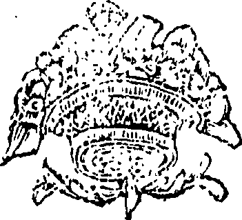 111/111240060000400_0.png