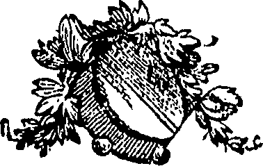 111/111240080001070_0.png