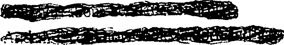 111/111240160000210_0.png