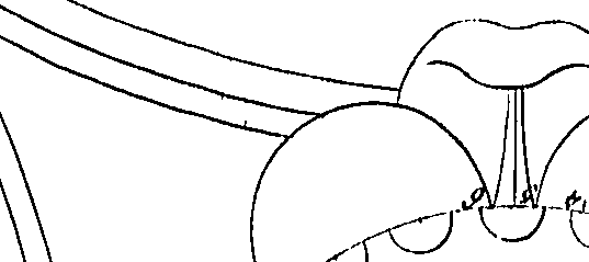 111/111250200000210_2.png