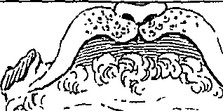 111/111250200000290_1.png