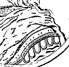 111/111250220000030_6.png