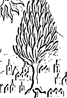 111/111250220000070_0.png