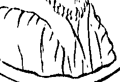 111/111250220000150_0.png