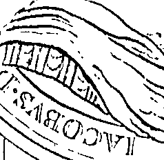 111/111250220000200_1.png