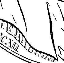 111/111250220000310_1.png