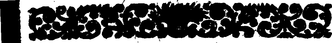 111/111300150000020_0.png