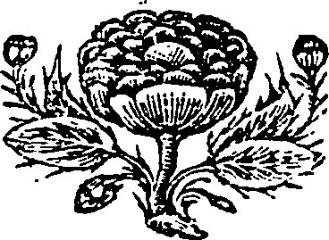 111/111320010002100_0.png