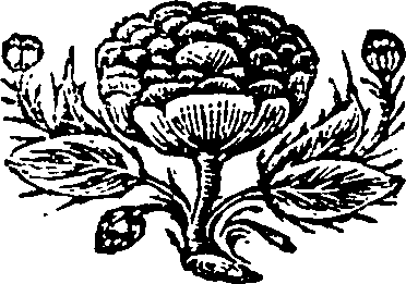111/111320010003900_0.png