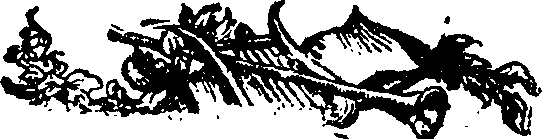111/111340200000300_0.png