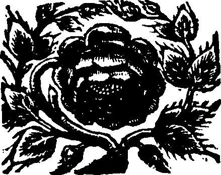 111/111400160000310_0.png