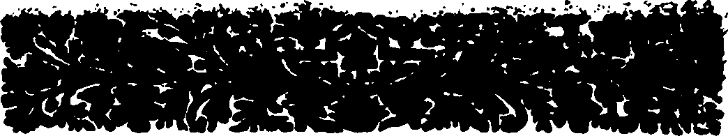 111/111400170000020_1.png