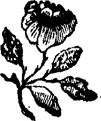 111/111410070000160_0.png