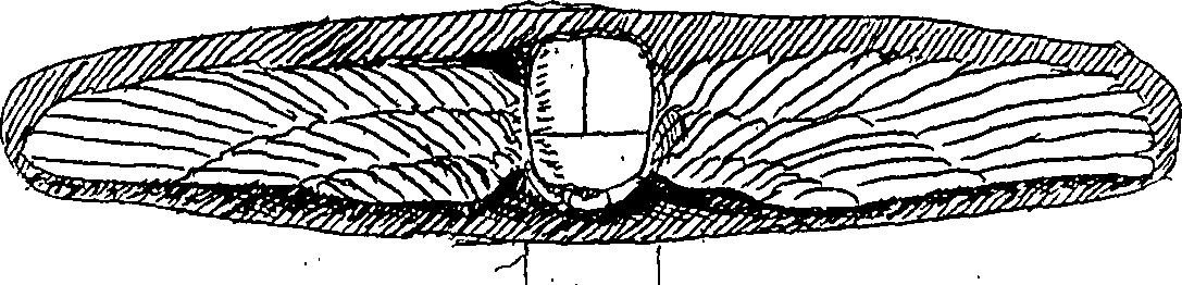 111/111520010000240_1.png