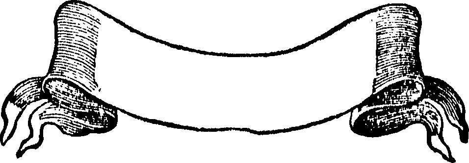 111/111520060000030_0.png