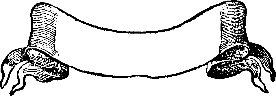111/111520060000040_0.png