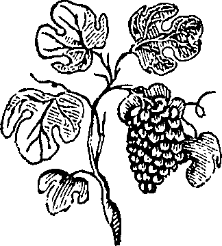 111/111520060000090_3.png