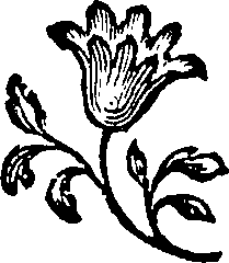 111/111520060000100_1.png