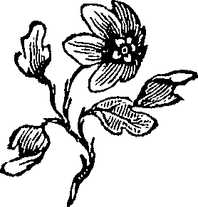 111/111520060000100_2.png