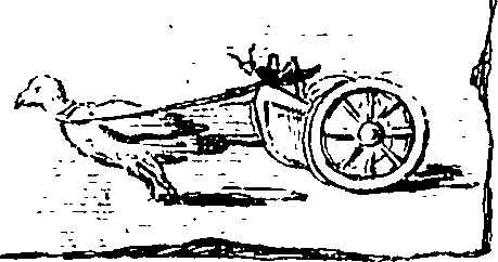 111/111520070002560_0.png