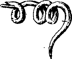 111/111520070002670_0.png