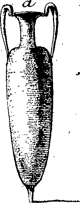 111/111520070002670_1.png