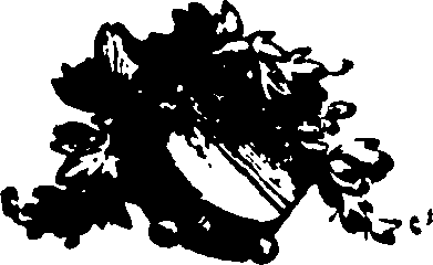 111/111530160001260_0.png