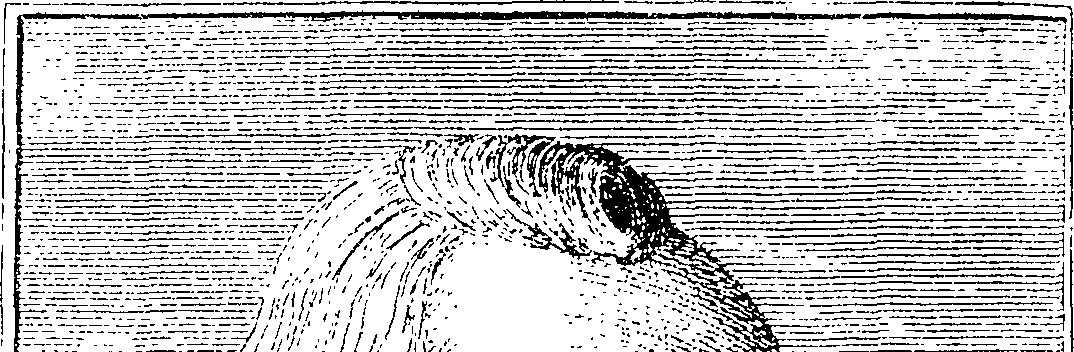 111/111850190000180_1.png