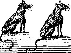 111/111850190000250_0.png