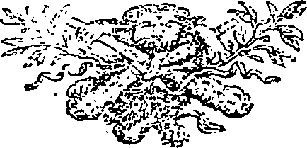 111/111890020100420_0.png