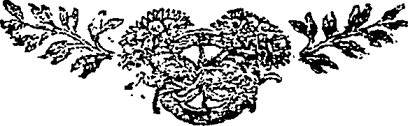 111/111890020204570_0.png