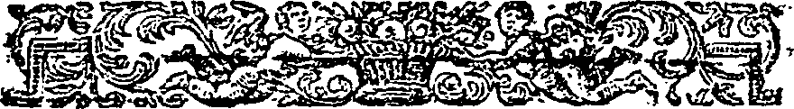 111/111890020204570_1.png