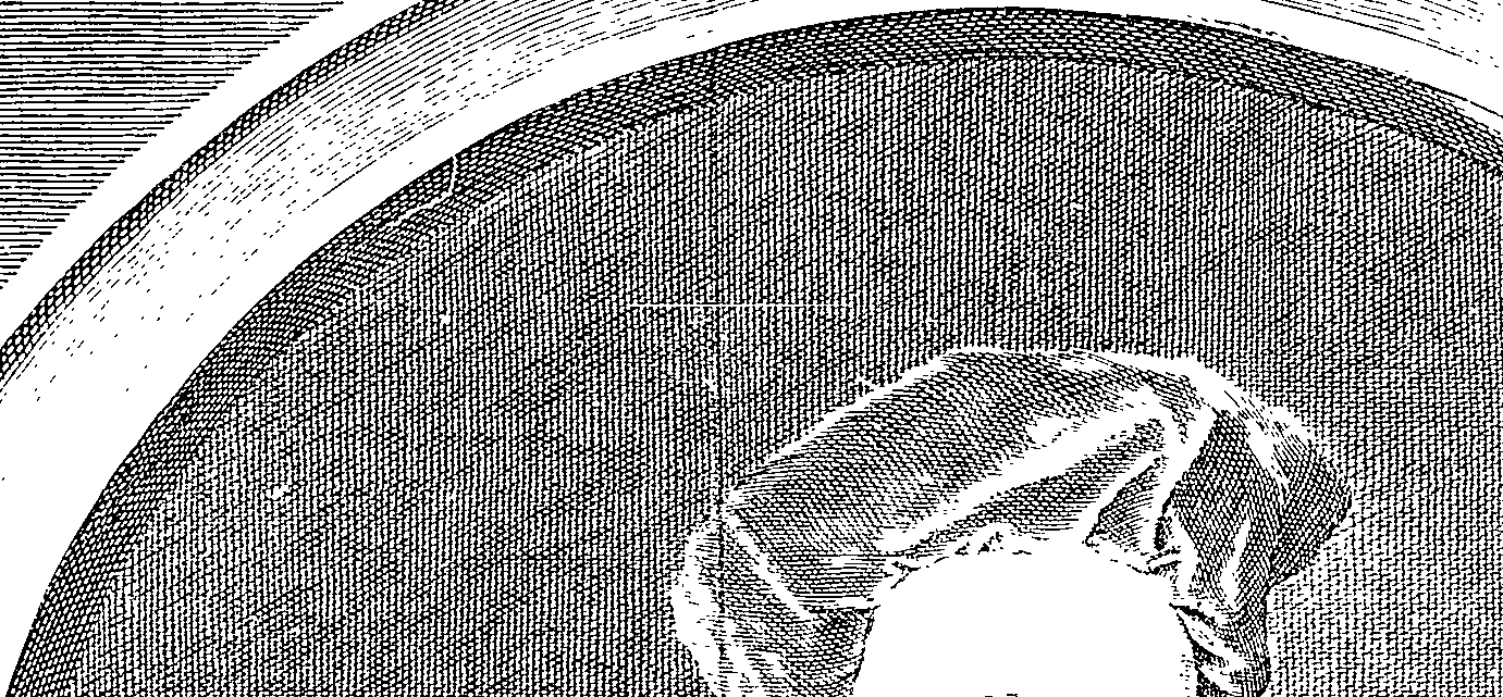 111/111910010000010_2.png