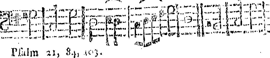 111/111920040000220_0.png