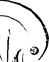 111/111930020000020_2.png