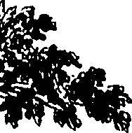 111/111960070000090_1.png