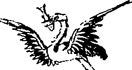 111/111960070000200_2.png
