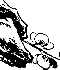 111/111960070000210_0.png