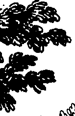 111/111960080000060_0.png