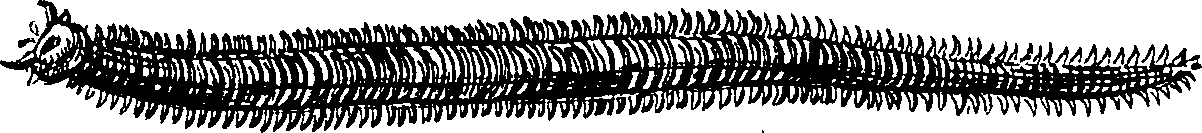 112/112000030000020_0.png